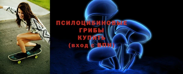 крисы Заводоуковск