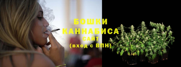 крисы Заводоуковск