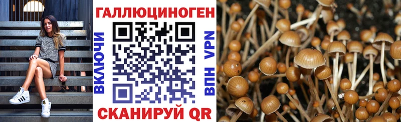 Купить закладки  Полысаево  Галлюциногенные грибы GOLDEN TEACHER 